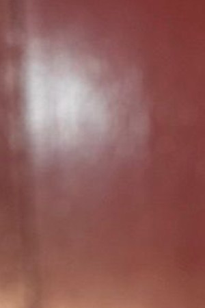 Photo courtesy of Vianessa Castaños.