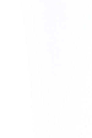 stephanie-guerrero-header