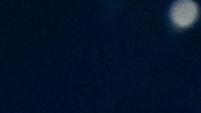 Carin León_Colmillo De Leche Tour_Stagecoach