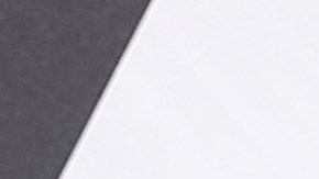 Rosalía & Rauw Alejandro