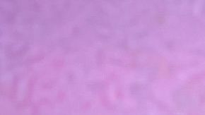 Bad Bunny_Highlights_Pepsi_Students