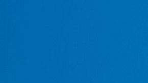 Jesus "Nalgas" Zapien