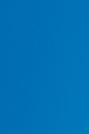 Jesus "Nalgas" Zapien