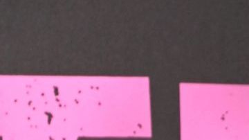 LONDON, ENGLAND - MARCH 21: John Leguizamo arrives at the UK premiere of "The Power" at Odeon Luxe Leicester Square on March 21, 2023 in London, England. (Photo by Dave J Hogan/Getty Images)