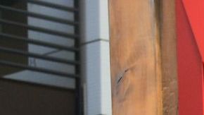 LOS ANGELES, CALIFORNIA - MARCH 26: Jonás Cuarón attends Netflix's "Chupa" Premiere at Netflix Tudum Theater on March 26, 2023 in Los Angeles, California. (Photo by Charley Gallay/Getty Images for Netflix)