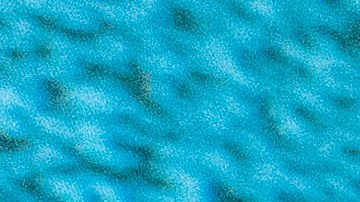 "Niña Bonita"_Feid_Sean Paul