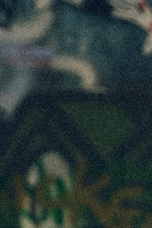 Peso Pluma_"Rosa Pastel"