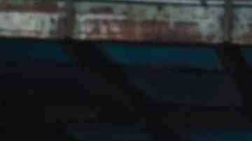 Rachel Zegler in “Enjoy the show,” Rachel Zegler posted on Instagram alongside the trailer for The Hunger Games: The Ballad of Songbirds & Snakes