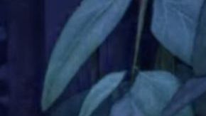 Asha (voiced by Arian Debose) in the trailer for Disney's Wish