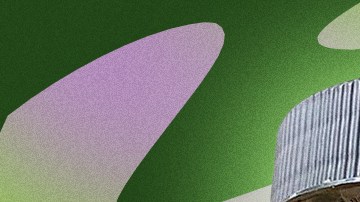 latine 420 header of businesses owned and run by Latine people