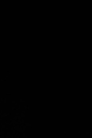 Peso Pluma_Becky G_Special