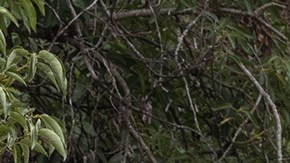 “Frágil”_Grupo Frontera_Yahritza y su Esencia