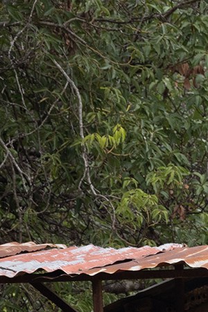 “Frágil”_Grupo Frontera_Yahritza y su Esencia