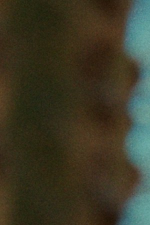 RAINAO_“Tentretiene”