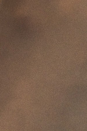 carla morrison_“Todo Fue Por Amor”