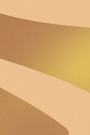 coachella performances