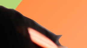 Photo courtesy of Melissa Tovar.