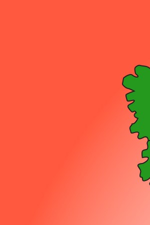 Illustration by Felipe Pérez of Anómalo.