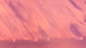 Bad Bunny_Grupo Frontera