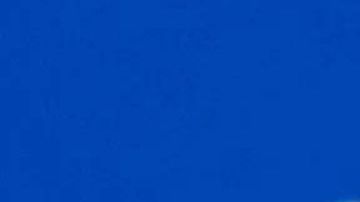 Bad Bunny Adidas Sneakers Cangrejeros