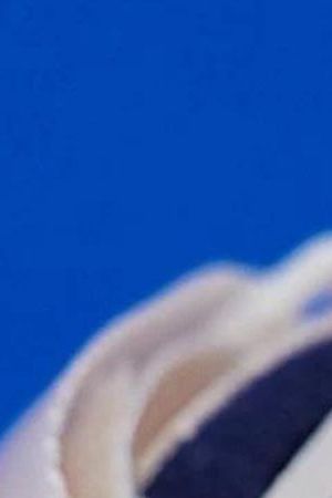 Bad Bunny Adidas Sneakers Cangrejeros