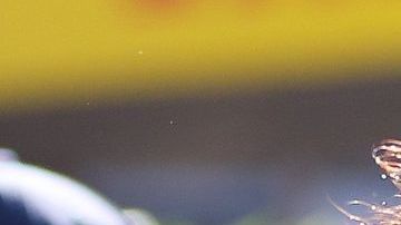 MONTE-CARLO, MONACO - MAY 25: Bad Bunny attends to the previews ahead of the F1 Grand Prix of Monaco at Circuit de Monaco on May 25, 2023 in Monte-Carlo, Monaco. (Photo by Eric Alonso/Getty Images)_Scott