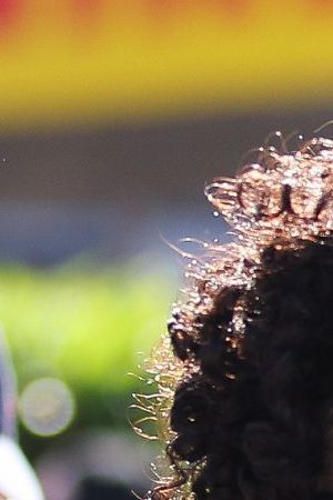 MONTE-CARLO, MONACO - MAY 25: Bad Bunny attends to the previews ahead of the F1 Grand Prix of Monaco at Circuit de Monaco on May 25, 2023 in Monte-Carlo, Monaco. (Photo by Eric Alonso/Getty Images)_Scott