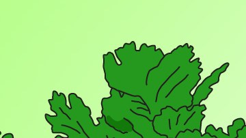 Felipe Pérez of Anómalo