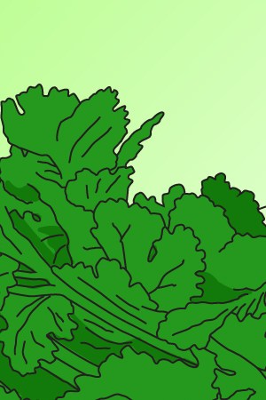 Felipe Pérez of Anómalo