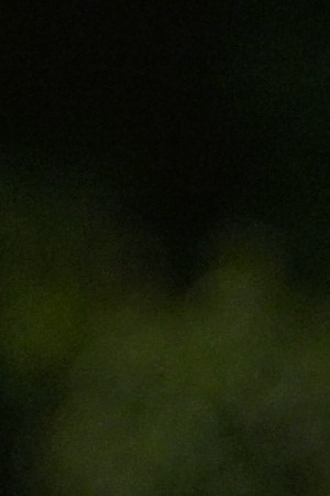 "VLGY"_Natanael Cano