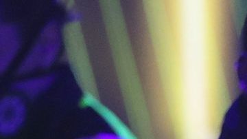 MIAMI, FL - NOVEMBER 24: Daddy Yankee is seen performing during Univision's Reina de la Cancion Finals at Univision Studios on November 24, 2019 in Miami, Florida. (Photo by Alexander Tamargo/Getty Images)_Tu Música Urbano