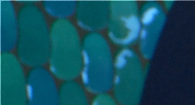 MEET MY MOM -- In Disney and Pixar’s “Elemental,” go-with-the-flow guy Wade (Mamoudou Athie) introduces fiery young woman Ember (voice of Leah Lewis) to his mom, Brook (voice of Catherine O’Hara). Ember is decidedly out of her element, but quickly warms up to his family. Directed by Peter Sohn (“The Good Dinosaur,” “Party Cloudy” short) and produced by Denise Ream (“The Good Dinosaur,” “Cars 2”), Disney and Pixar’s “Elemental” releases on June 16, 2023. © 2023 Disney/Pixar. All Rights Reserved.