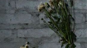 TOPSHOT - A makeshift memorial for victims of a stampede is pictured outside Cuscatlan stadium in San Salvador on May 21, 2023. El Salvador was in shock on May 21, 2023 after 12 people died and hundreds were injured in a stampede at a soccer stadium, as the country's president vowed an investigation. (Photo by MARVIN RECINOS / AFP) (Photo by MARVIN RECINOS/AFP via Getty Images)