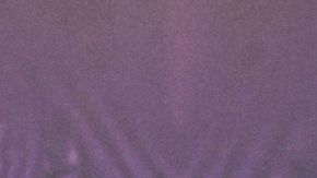 NEW YORK, NEW YORK - MAY 04: Jessica Wild attends RuPauls Drag Race All Stars screening event at Crosby Hotel on May 04, 2023 in New York City. (Photo by Roy Rochlin/Getty Images for Paramount+)