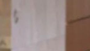 Julio Torres and Tilda Swinton in Problemista