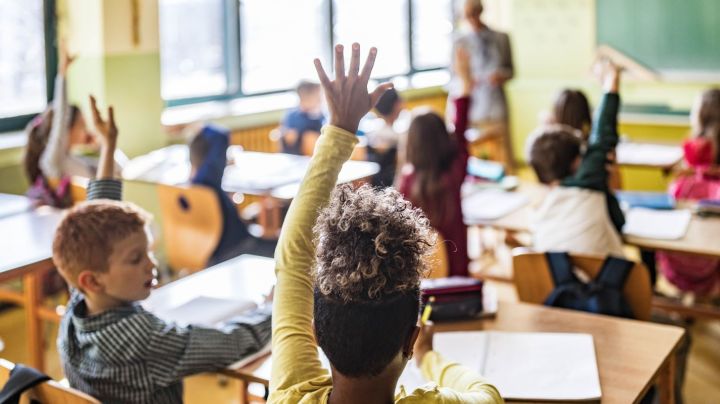 Back view of large group of elementary students raising hands to answer teacher's question on a class at school. Focus is on black girl.