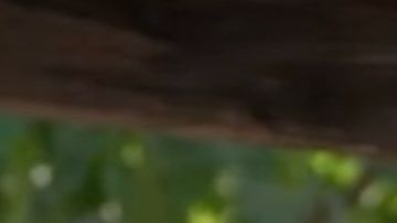 Esai Morales in La Bamba