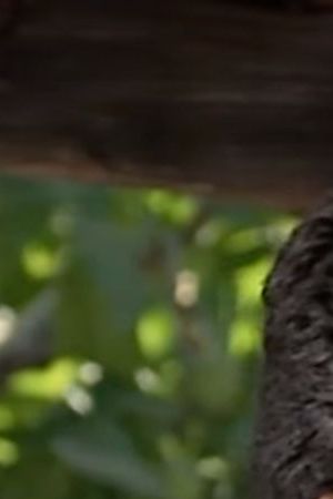 Esai Morales in La Bamba