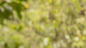 Manuel Garcia-Rulfo and Rodrigo Prieto filming Pedro Páramo for Netflix