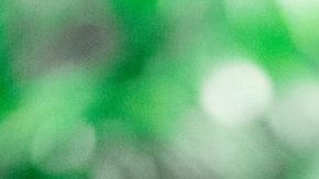 Salma Hayek in Black Mirror