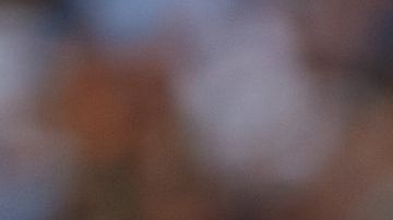Vinicius Jr. of Real Madrid CF looks on during the LaLiga Santander match between Valencia CF and Real Madrid CF at Mestalla stadium, May 21, 2023, Valencia, Spain. (Photo by David Aliaga/NurPhoto via Getty Images)