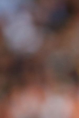 Vinicius Jr. of Real Madrid CF looks on during the LaLiga Santander match between Valencia CF and Real Madrid CF at Mestalla stadium, May 21, 2023, Valencia, Spain. (Photo by David Aliaga/NurPhoto via Getty Images)