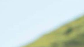 Yamil “Yam Yam” Arocho from SURVIVOR Season 44. -- Photo: Robert Voets/CBS ©2022 CBS Broadcasting, Inc. All Rights Reserved