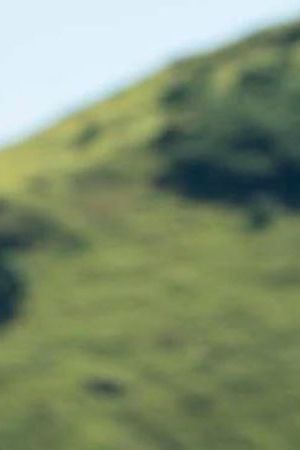 Yamil “Yam Yam” Arocho from SURVIVOR Season 44. -- Photo: Robert Voets/CBS ©2022 CBS Broadcasting, Inc. All Rights Reserved