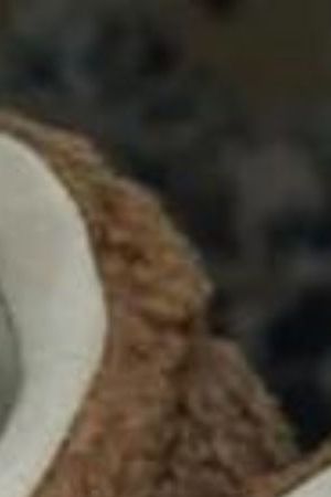 adidas concha sneakers