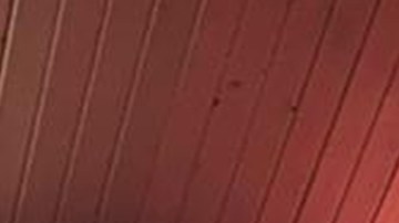 Peso Pluma_Eladio Carrion_"77"