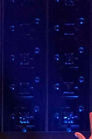 Peso Pluma_“The Tonight Show Starring Jimmy Fallon”_Corridos Tumbados_VMAs