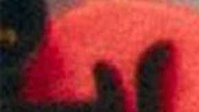 'Tengo Miedo'_Leton Pe_Calacote