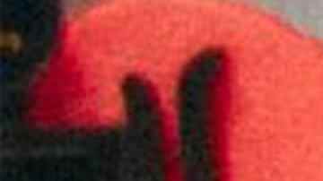 'Tengo Miedo'_Leton Pe_Calacote