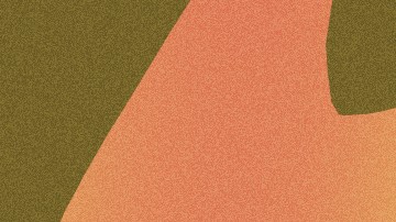 “¿Cuáles Fronteras?”